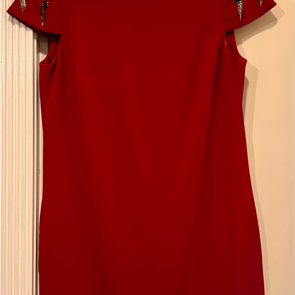 Badgley Mischka Burgundy Dress with Silver Accents